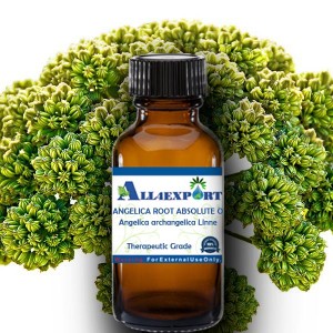 ANGELICA ROOT ABSOLUTE OIL 