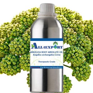 ANGELICA ROOT ABSOLUTE OIL 