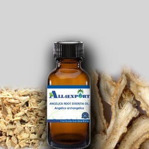 ANGELICA ROOT ESSENTIA OIL