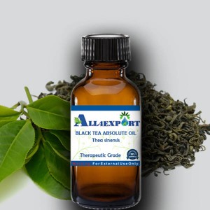 BLACK TEA ABSOLUTE OIL