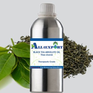 BLACK TEA ABSOLUTE OIL