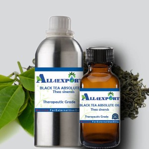 BLACK TEA ABSOLUTE OIL