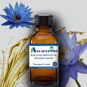 BLUE LOTUS ABSOLUTE OIL 