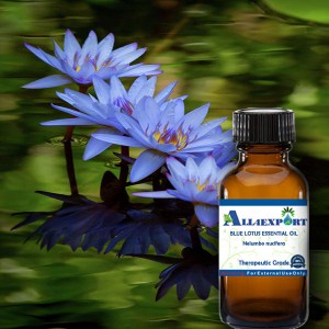 BLUE LOTUS ESSENTIAL OIL