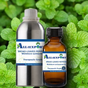 BROAD-LEAVED PEPPERBAR ESSENTIAL OIL