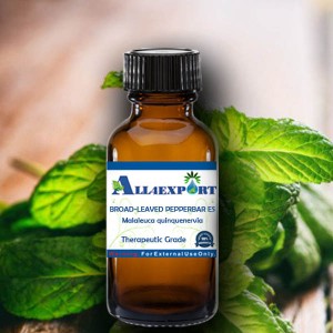 BROAD-LEAVED PEPPERBAR ESSENTIAL OIL