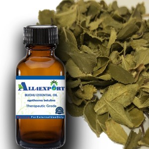 BUCHU ESSENTIAL OIL