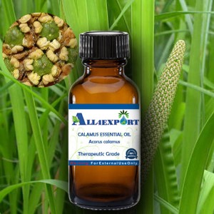 CALAMUS ESSENTIAL OIL
