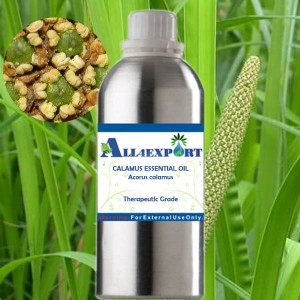 CALAMUS ESSENTIAL OIL