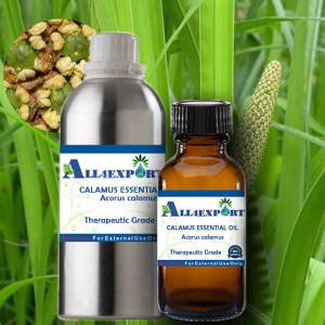 CALAMUS ESSENTIAL OIL