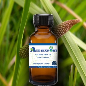 CALAMUS SPICE OIL