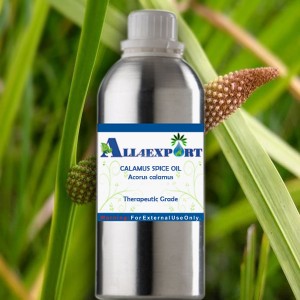 CALAMUS SPICE OIL