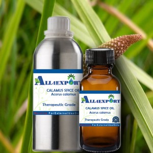CALAMUS SPICE OIL