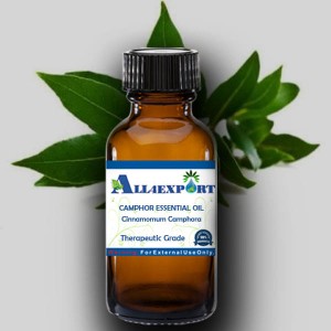 CAMPHOR ESSENTIAL OIL