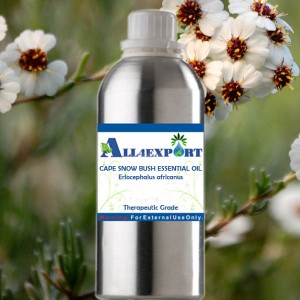 CAPE SNOW BUSH ESSENTIAL OIL