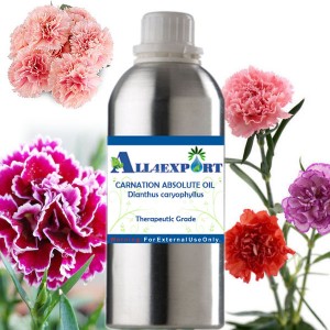 CARNATION ABSOLUTE OIL 