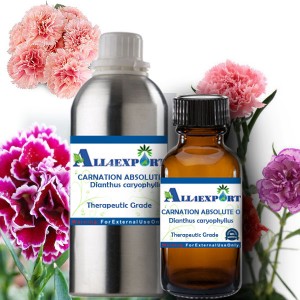 CARNATION ABSOLUTE OIL 