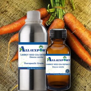 CARROT SEED CO2 EXTRACT OIL