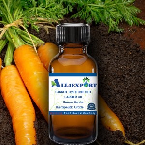 CARROT TISSUE INFUSED CARRIER OIL