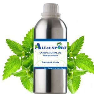 CATNIP ESSENTIAL OIL