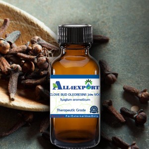 CLOVE BUD OLEORESINS 24% VOC