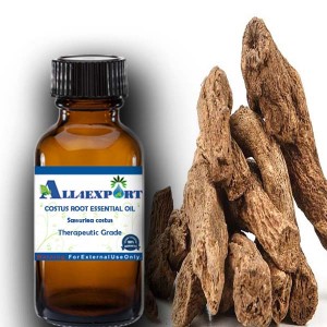 COSTUS ROOT ESSENTIAL OIL