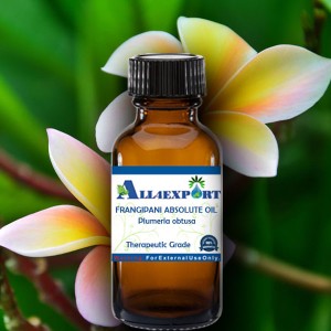 FRANGIPANI ABSOLUTE OIL 