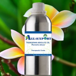 FRANGIPANI ABSOLUTE OIL 