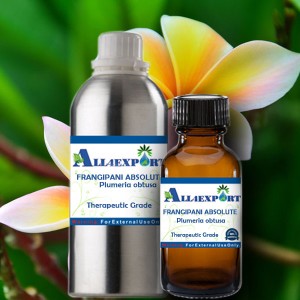FRANGIPANI ABSOLUTE OIL 