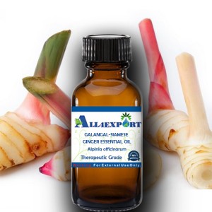 GALANGAL-SIAMESE GINGER ESSENTIAL OIL