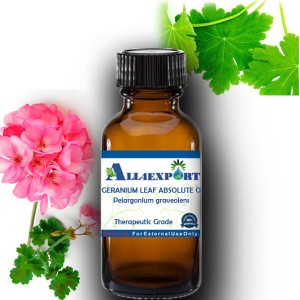 GERANIUM LEAF ABSOLUTE OIL 