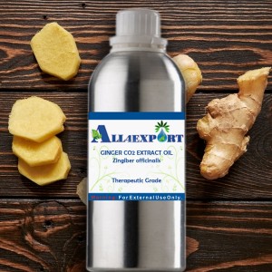 GINGER CO2 EXTRACT OIL
