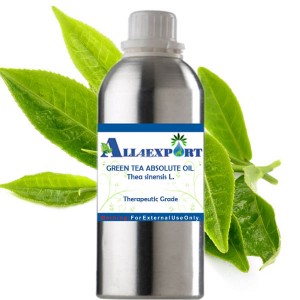 GREEN TEA ABSOLUTE OIL 