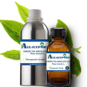 GREEN TEA ABSOLUTE OIL 