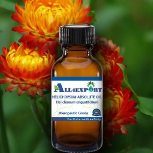HELICHRYSUM ABSOLUTE OIL 