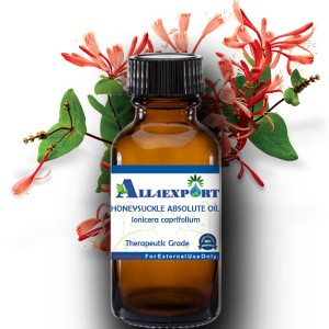 HONEYSUCKLE ABSOLUTE OIL 