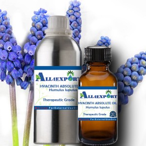 HYACINTH ABSOLUTE OIL 
