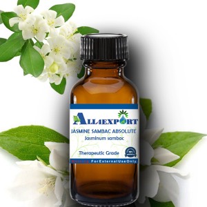 JASMINE SAMBAC ABSOLUTE OIL 