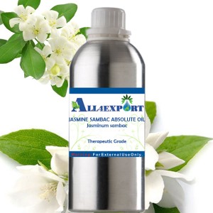 JASMINE SAMBAC ABSOLUTE OIL 