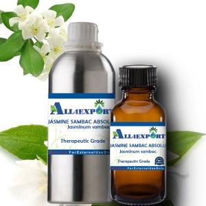 JASMINE SAMBAC ABSOLUTE OIL 