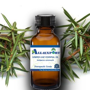 JUNIPER LEAF ESSENTIAL OIL