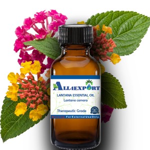 LANTANA ESSENTIAL OIL