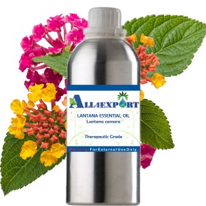 LANTANA ESSENTIAL OIL