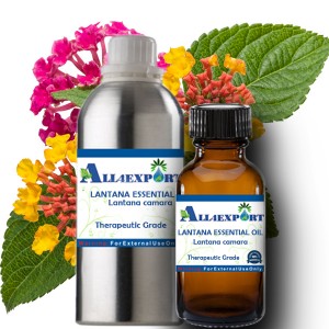 LANTANA ESSENTIAL OIL
