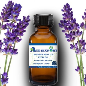 LAVENDER ABSOLUTE EXTRA OIL 