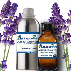 LAVENDER ABSOLUTE EXTRA OIL 