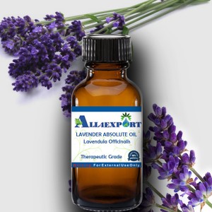LAVENDER ABSOLUTE OIL 