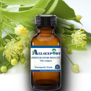 LINDEN BLOSSOM ABSOLUTE OIL 