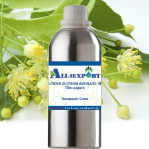 LINDEN BLOSSOM ABSOLUTE OIL 
