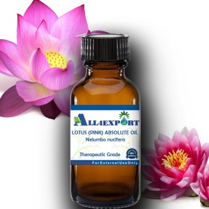 LOTUS (PINK) ABSOLUTE OIL 